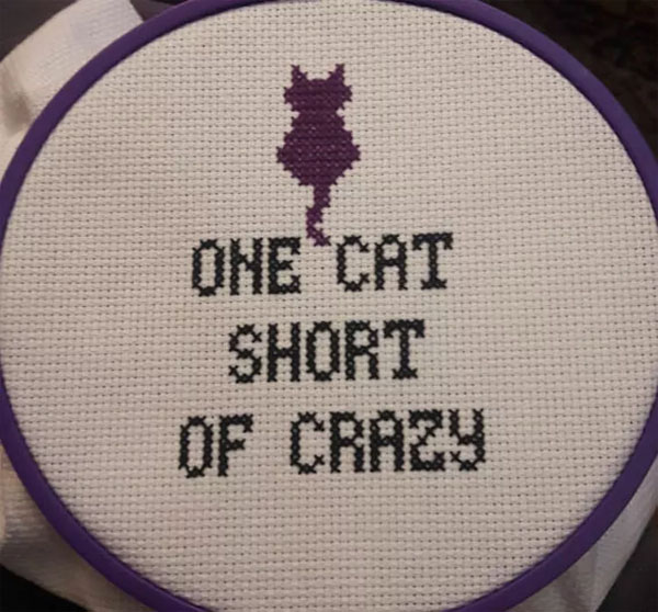 One cat short of crazy