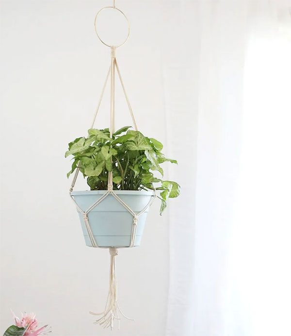 Simple DIY Macrame plant hanger