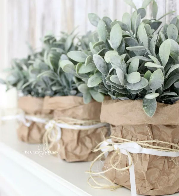 Make a Paper Vase for Indoor Greenery