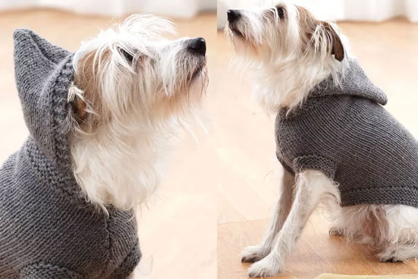 Hooded Dog Coat Knitting Pattern