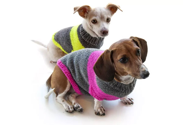 Puppy Pullover Knitting Pattern