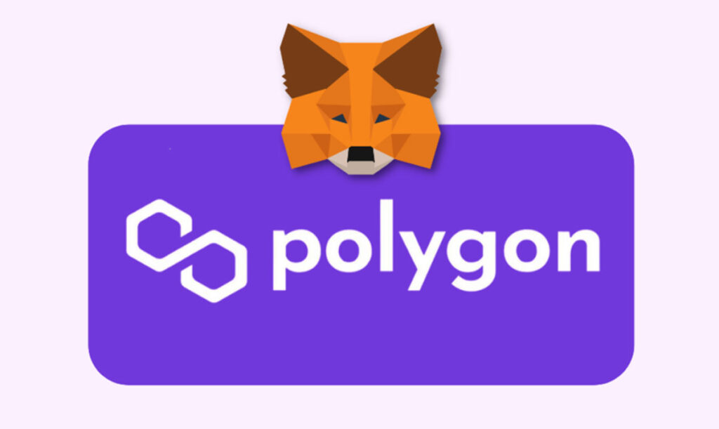 Polygon to MetaMask Wallet